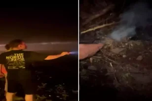 Bursa’da ormanı yakmaya çalışan şüpheliye suçüstü