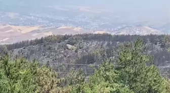 Karabük’teki Orman Yangını Kontrol Altına Alındı