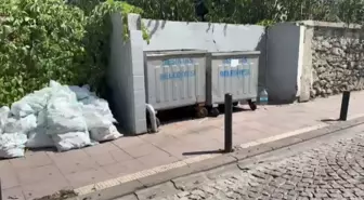 Beşiktaş’ta Çöp Kontenerinde Bebek Cesedi Bulundu