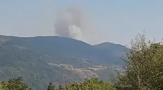 Karabük’te Orman Yangını Çıktı