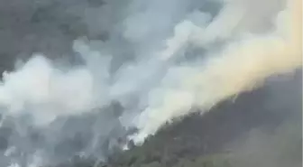 Bartın’da Orman Yangını