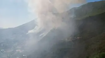 Küre Dağları’nda Orman Yangınına Hava ve Karada Müdahale Devam Ediyor