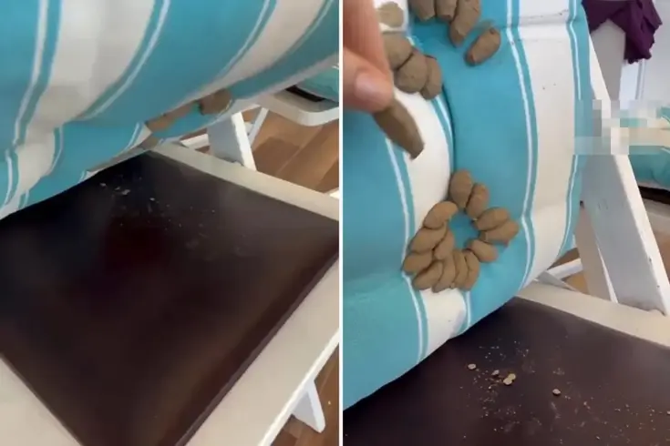 Minderini kaldıran kadın, dehşet verici manzarayla karşılaştı